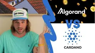 Cardano Vs Algorand | Which One Will Explode?