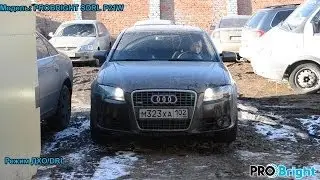 PROBRIGHT SDRL в Audi A4 (B7)