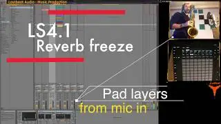 LS#4.1 Reverb Freeze