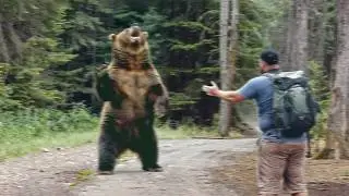 When Hikers Encounter Grizzly Bears Face to Face...