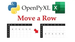 Openpyxl - Moving an Entire Row in Excel Workbooks with Python | Data Automation