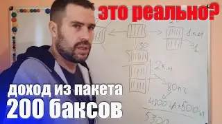 Пчеловодство пчелиный пакет приносит мед, доход за сезон. Как заработать пчеловодстве и пчелопакете