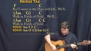 Fields of Gold (Sting) Strum Guitar Cover Lesson with Chords/Lyrics - Capo 2nd Fret