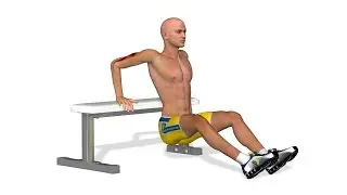 Straffe Arme: Tricep bench dips