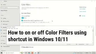 How to on or off Color Filters using shortcut in Windows 10/11