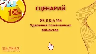 УК 3_0_4_144 Удаление помеченных объектов