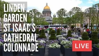 Linden Garden, St Isaac’s Cathedral, Colonnaded Walkaway. St Petersburg, Russia LIVE