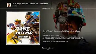 How To Download BLACK OPS COLD WAR BETA on PS4