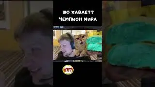 рацион еды симпла на буткемпе