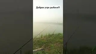 рыбалка на сома ночью 