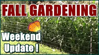 Fall Gardening Weekend Update !