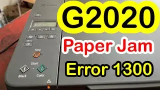 CANON PIXMA G2020 PAPER JAMMED | ERROR 1300