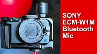 Testing the Sony ECM-W1M Bluetooth Mic on the Sony ZV-1