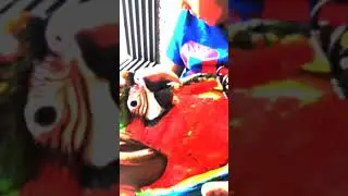 Watch Harlequin Macaw bonding with kids only @Shaikh.tanveer | #hybridmacaw #macaw