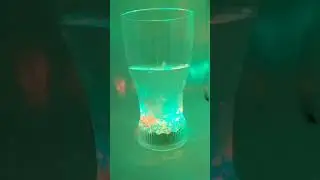 LED GLASS