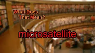 What does microsatellite mean?