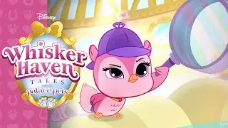 Chowing Down | Whisker Haven Tales with the Palace Pets | Disney Junior