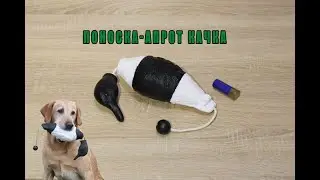 Поноска качка чорно білого кольору