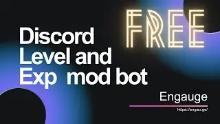 Best FREE Discord level and exp tracking automod bot software - Engauge