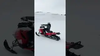 My Wild Snowmobile Friend From Aasiaat I Greenland Extreme