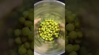 Опарыш и червь в прошлом, насадка для рыбалки на карася, карпа, сазана ☣ 