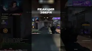 Реакция зверя #nikilarr #кс #csgo #ксго #фейсит