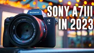 Should You Buy The Sony A7III This Year?