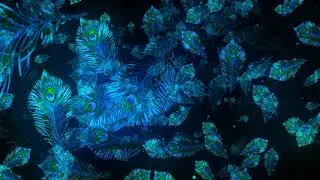 VJ LOOPS 2021- Free Video background Loops || Floral Shiny Wedding Mandala Art Free VJ Loops