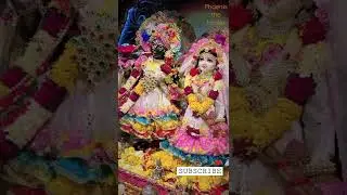 shorts Shrivali radhe krishna status |2022 वृंदावन दर्शन | krishna status | राधे कृष्णा स्टेटस