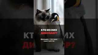 Кто из них динозавр?🦕