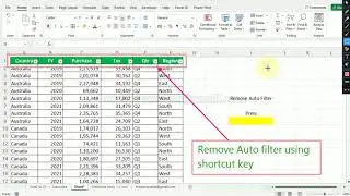 Remove filter easily | MS Excel Tips & Tricks Tutorial