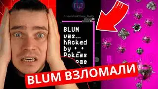 BLUM ВЗЛОМАЛИ! СКАМ НА СТАРТЕ? ЧТО ПРОИСХОДИТ С БЛУМ? ЭТО ВЗЛОМ? ХАКНУЛИ BLUM! СРОЧНО СДЕЛАЙТЕ...