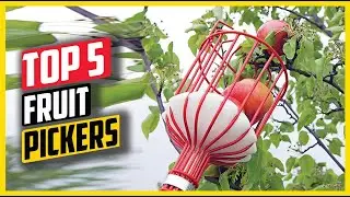 Top 5: Best Fruit Pickers