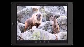 Updates to Lightroom for mobile | Adobe Lightroom