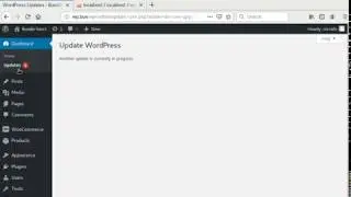 Another Update in Process Error in WordPress [SOLVED]