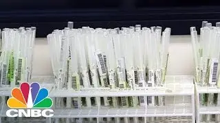 Genetic Test Can Help Prevent Americas Opioid Painkiller Addiction | The Pulse | CNBC