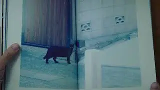 SPRINGMAN「still writing...」MV