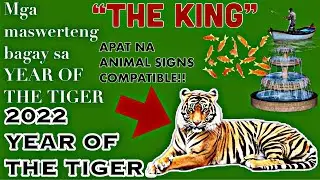 🍀2022 YEAR OF THE TIGER FORECAST | 2022 PREDICTION | YEAR OF THE WATER TIGER | BLACK WATER TIGER |