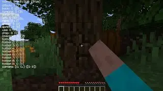 Minecraft Meets AI: Quick Setup Tutorial