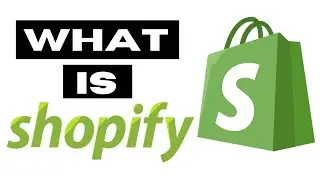 What is shopify : What is a Ecommerce store?