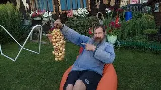 Вяжем лук в косичку Дачный урожай