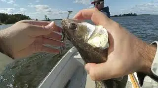 Косим Судака В Конце Лета, Море рыбы! Два Дня Рыбалки на Острове (День 1)