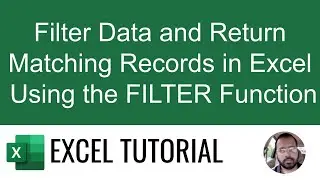 Filter Data and Return Matching Records in Excel Using the FILTER Function