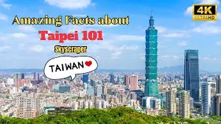 Rising to the Sky: The History and Legacy of Taipei 101