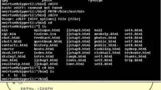 Linux and Unix Basics :  Your PATH Part 2