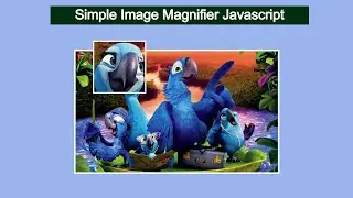 Image Magnifier JavaScript | Image Zoom on Mouse Hover in JavaScript