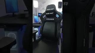 Ergo gaming chair?! 💺 AndaSeat Kaiser 4 XL