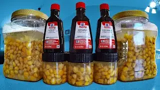 Flavored Boiled Feed Corn for Carp Fishing (Maize, Field Corn)