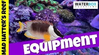 Waterbox Reef Tank Build | Ep. 4 | Aquarium Equipment