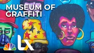 Museum of Graffiti: From Vandalism to Fine Art | NBCLX